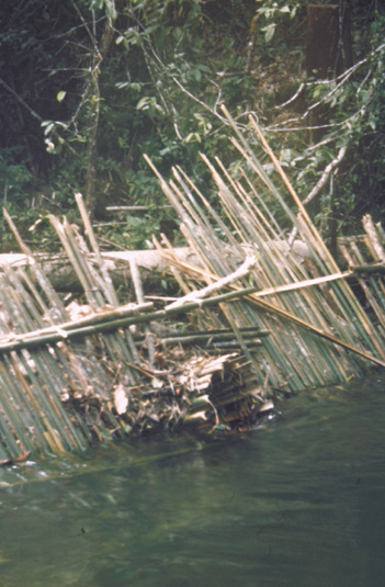 027-fishtrap2