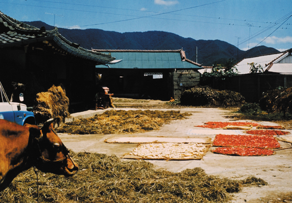 085C-SKorea-village-02