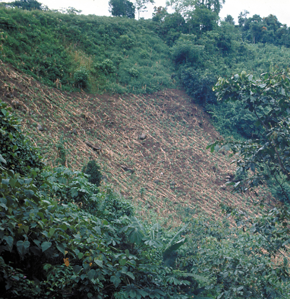093-Mex-erosion