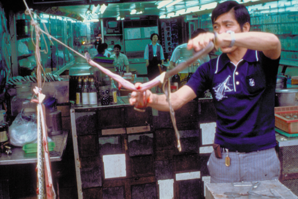 114A-Taiwan-snakeskinning