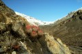 Death Valley photo.