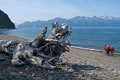 Alaska Photo.