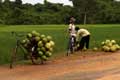 Cambodia photo.