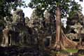 Angkor photo.