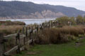 The view from Año Nuevo.