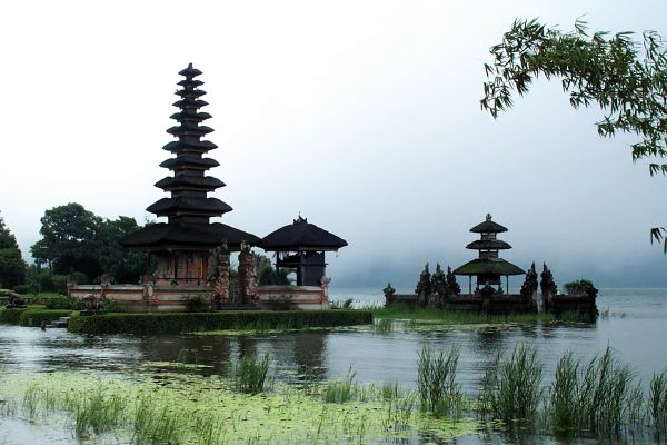 Click here to return to the Bali story.