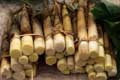 Bamboo shoot.