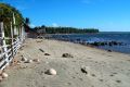 A beach in southern Negros.