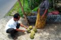 Durian selection photo.