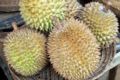 Durian.