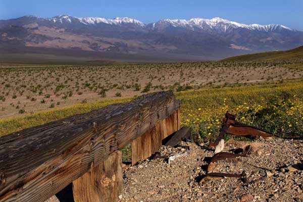 Click here to return to the Death Valley page.