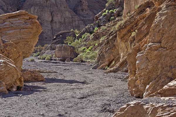 Click here to return to the Death Valley page.