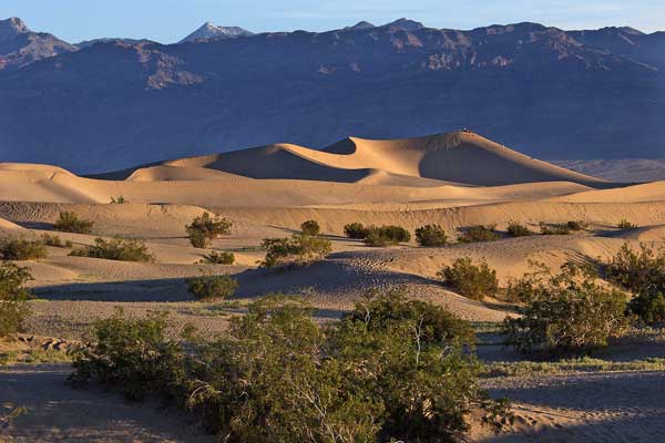 Click here to return to the Death Valley page.