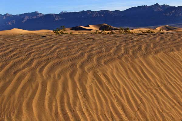 Click here to return to the Death Valley page.