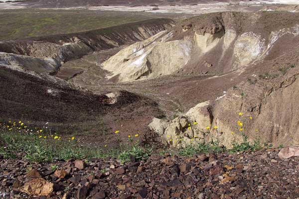 Click here to return to the Death Valley page.