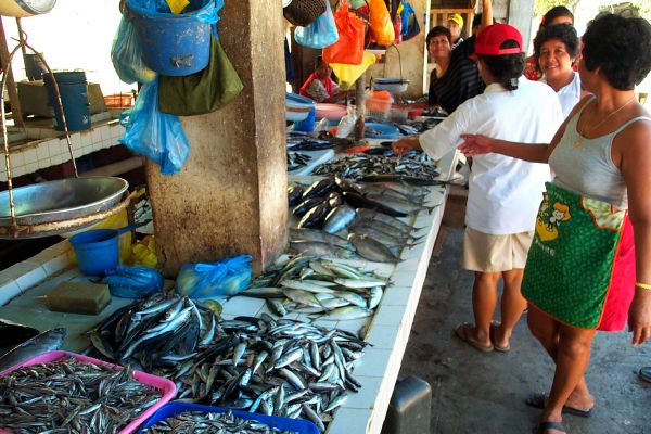 Click here to return to the photo tour of Negros.