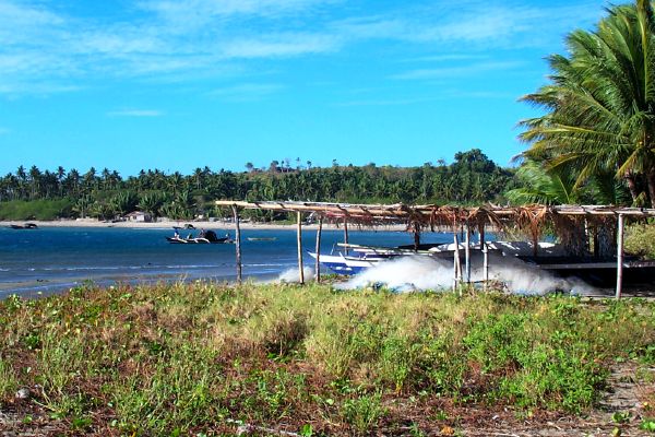 Click here to return to the photo tour of Negros.