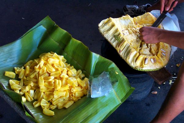 Click here to return to the jack fruit page.