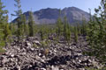 Lassen peak and the Devastated Area.