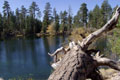 Manzanita Lake.