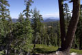 View from Reading Peak.