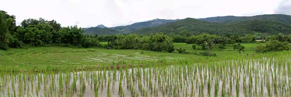 Laos photo.