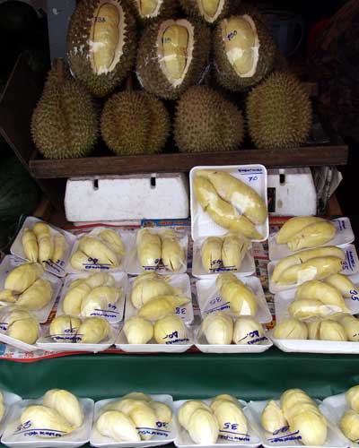 Click here to return to the durian page.