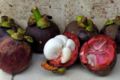 Mangosteen photo.