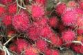 Rambutan photo.