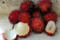 Rambutan photo.