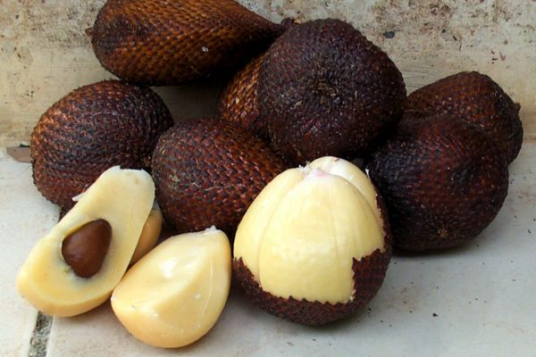 Salak