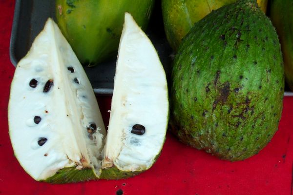 Click here to return to the soursop page.
