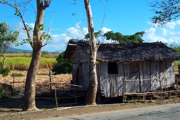 Click here to return to the photo tour of Negros.