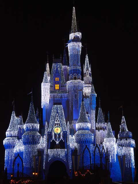 walt disney world castle at night. Walt Disney World, Florida